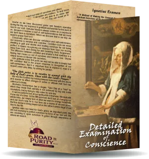 A Detailed Examination of Conscience