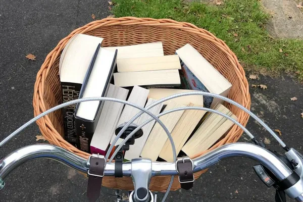 Allotment Bike Basket