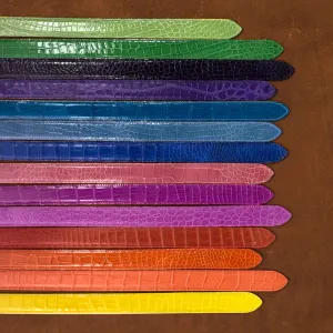 American Alligator Bright Colors