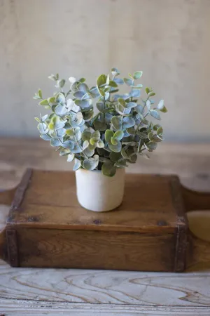 Artificial Boxwood Sage Plant In Concrete Pot (Pack of 4)