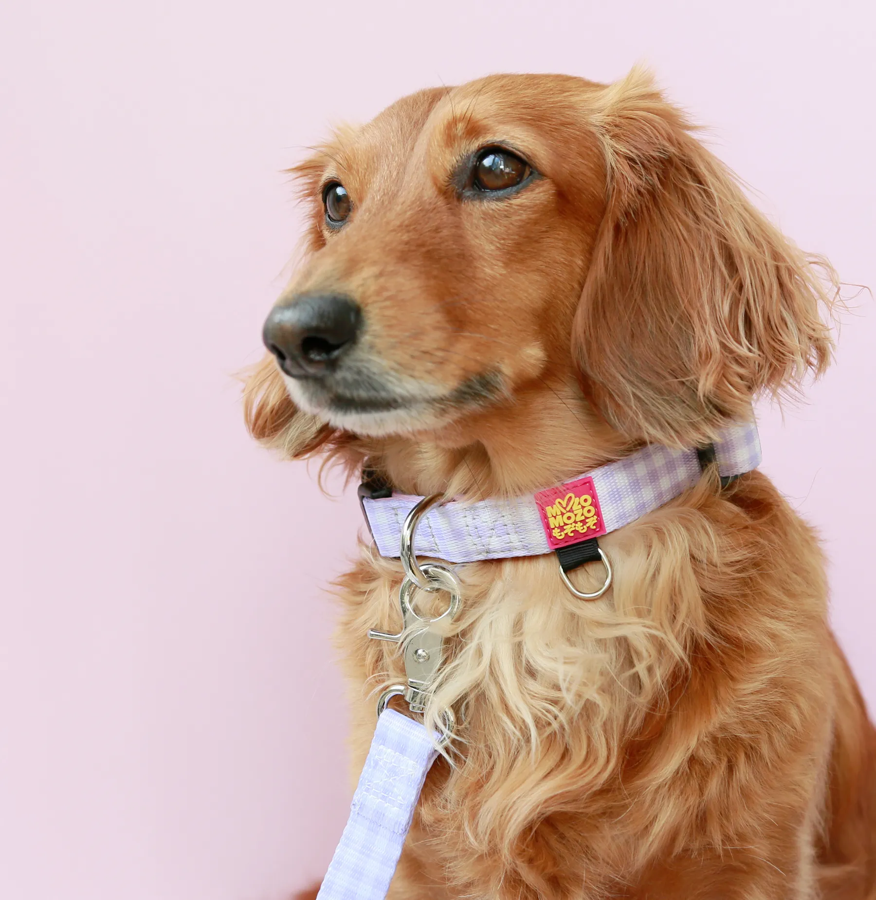 Barby gingham collar