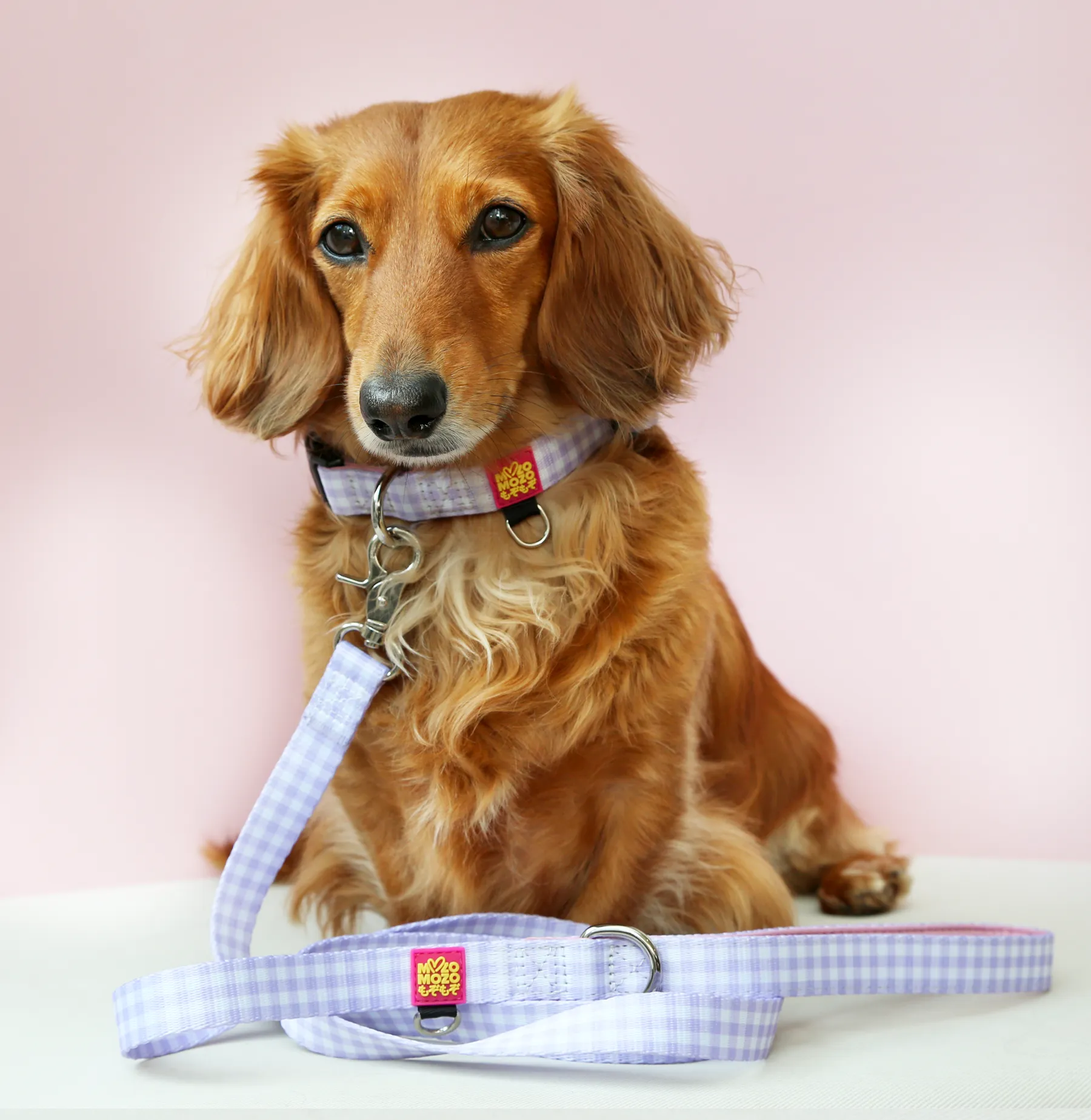 Barby gingham lead