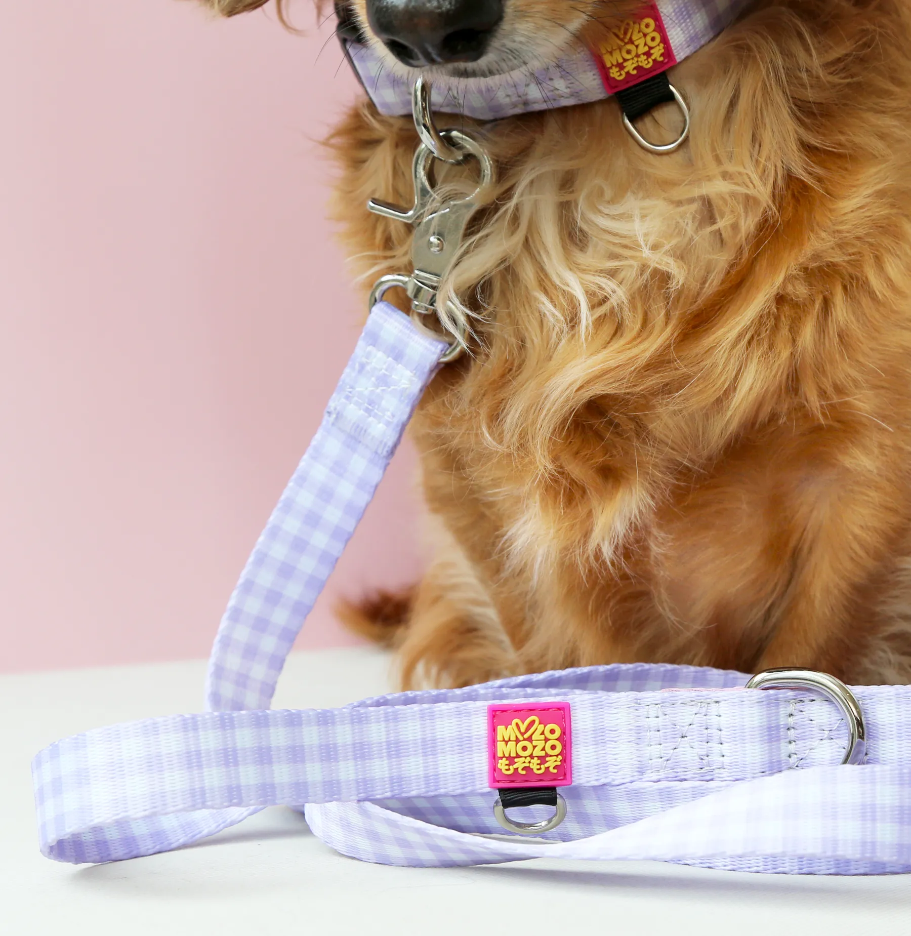 Barby gingham lead