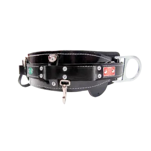 Bashlin - 656 Series 2 D-Ring Tool Belt