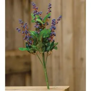 Berries Bush, Blue
