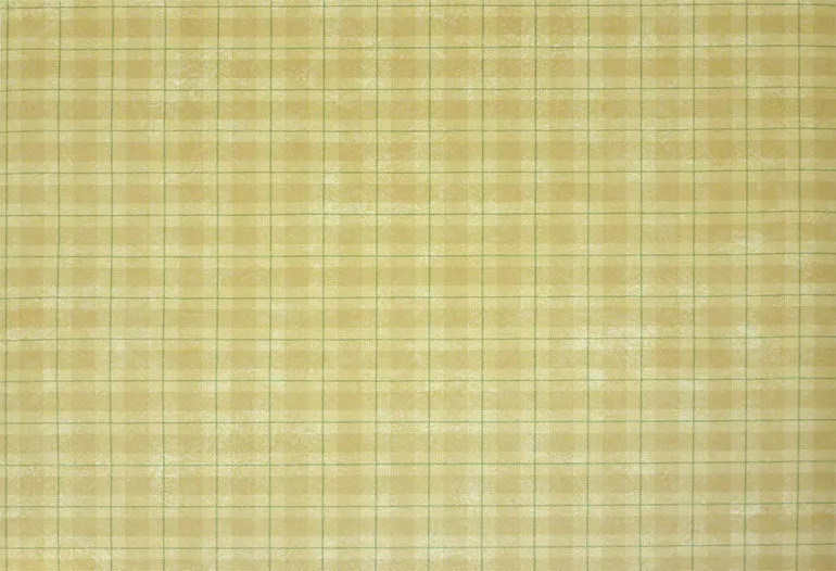 Blonder Checkered Solid Vinyl BH89079 Wallpaper