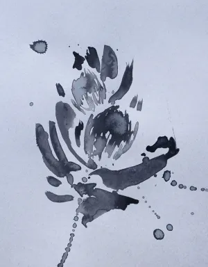 Blue Protea 4