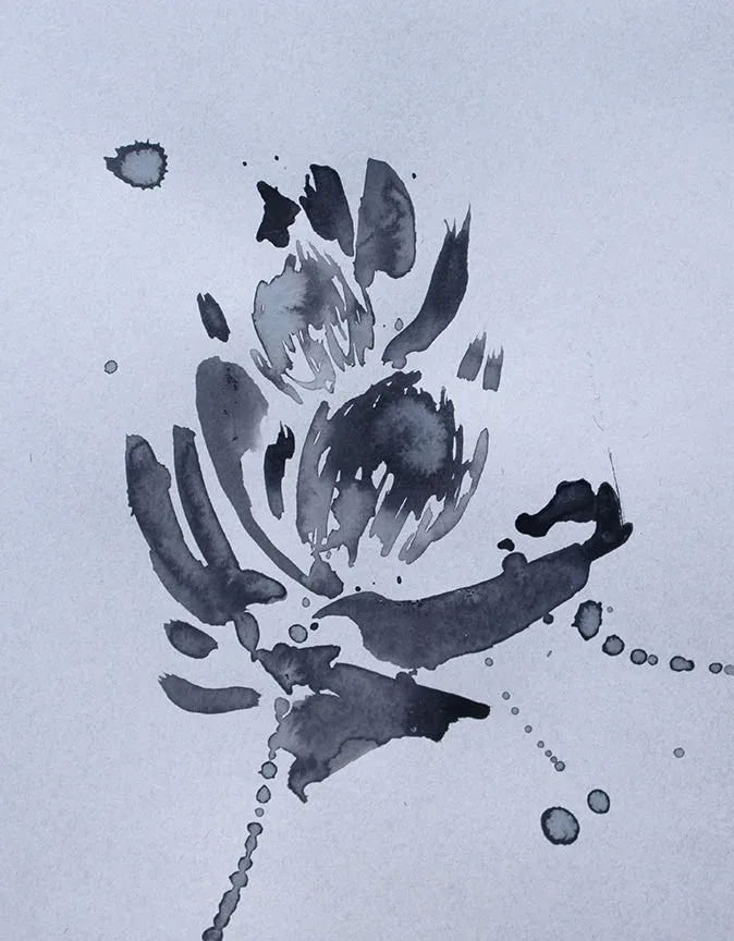 Blue Protea 4