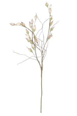 Botanica #2261 (Pack of 6)