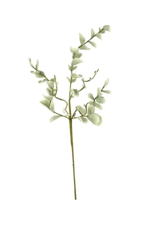 Botanica #2496 (Pack of 6)