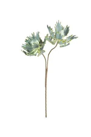 Botanica #2541 (Pack of 6)