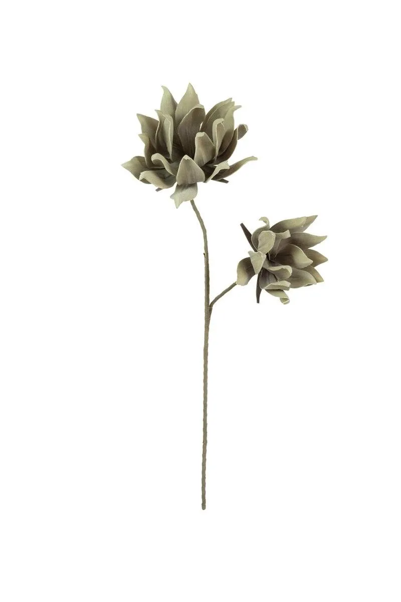 Botanica #2649 (Pack of 6)