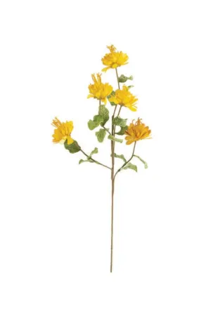 Botanica #3261 (Pack of 6)