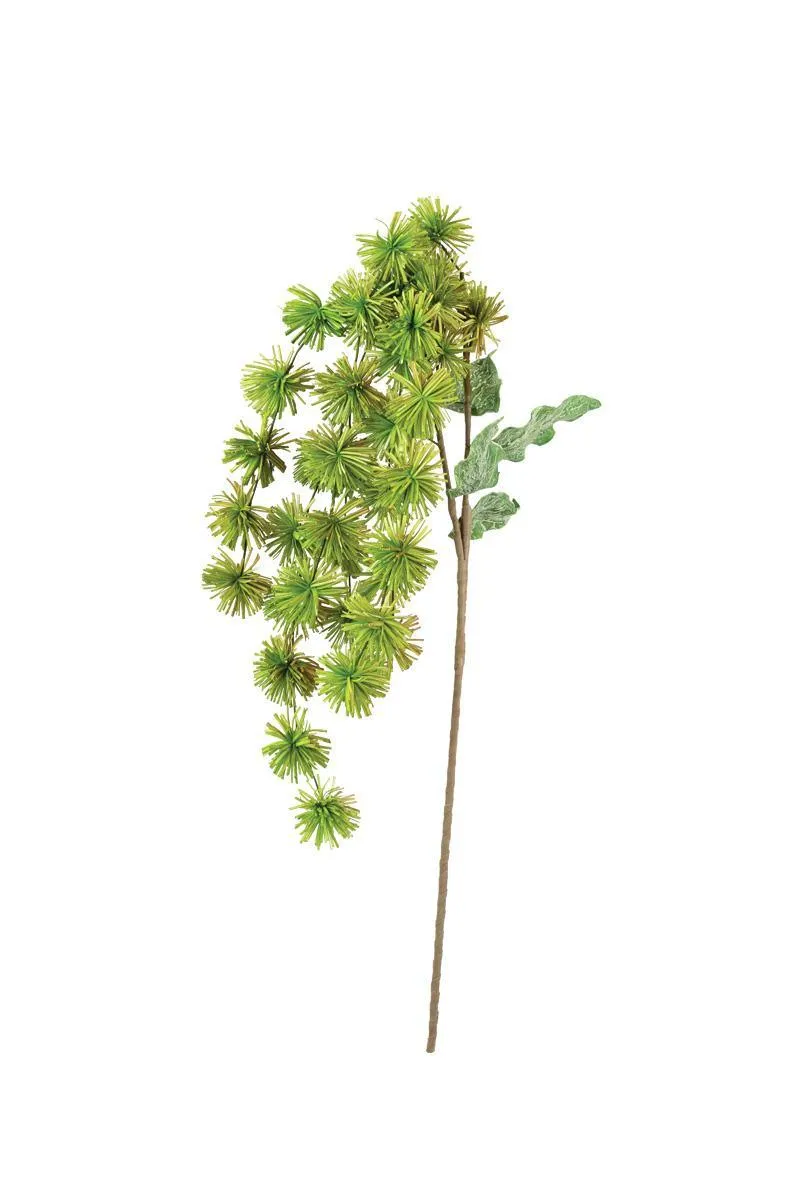 Botanica #3323 (Pack of 6)