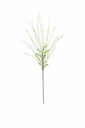 Botanica #3366 (Pack of 6)