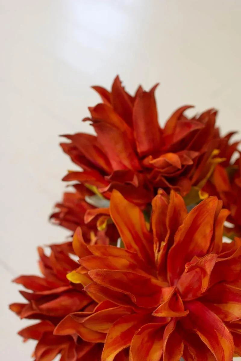 Botanica #3371 (Pack of 6)