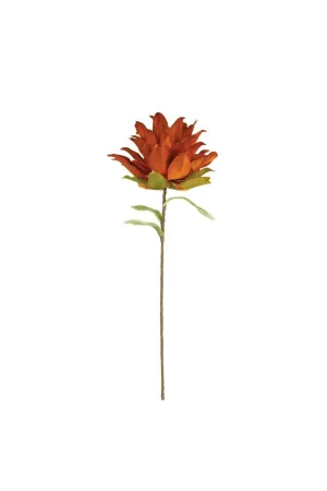 Botanica #3371 (Pack of 6)