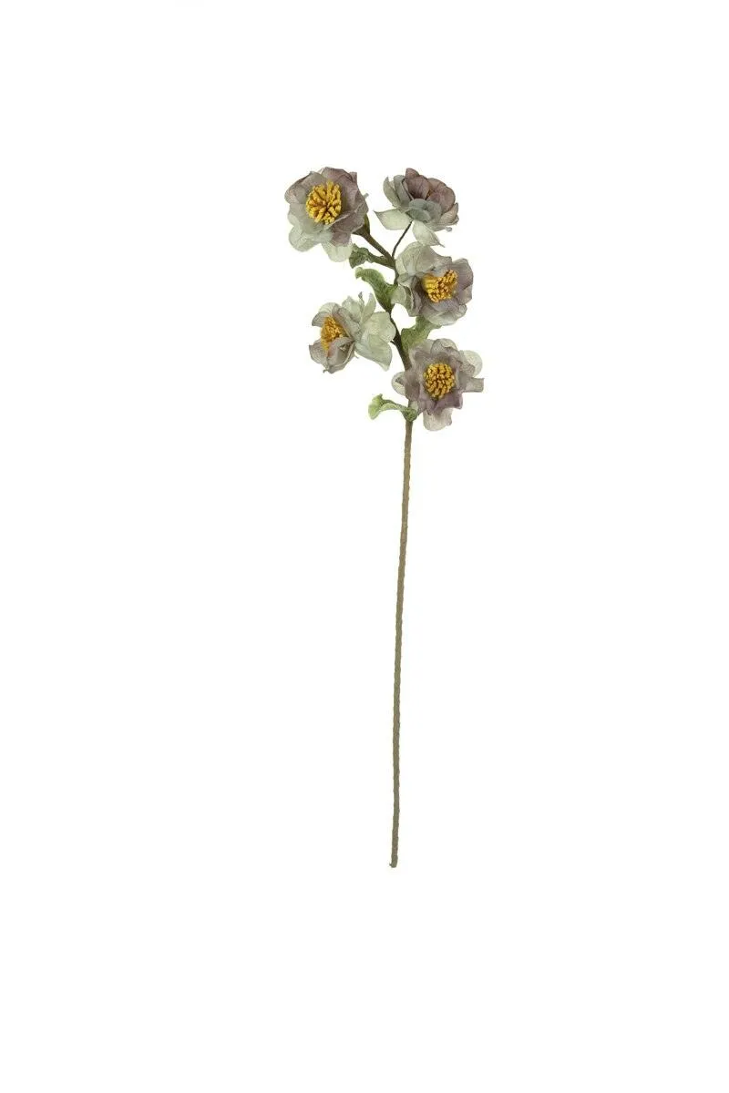 Botanica #3423 (Pack of 6)