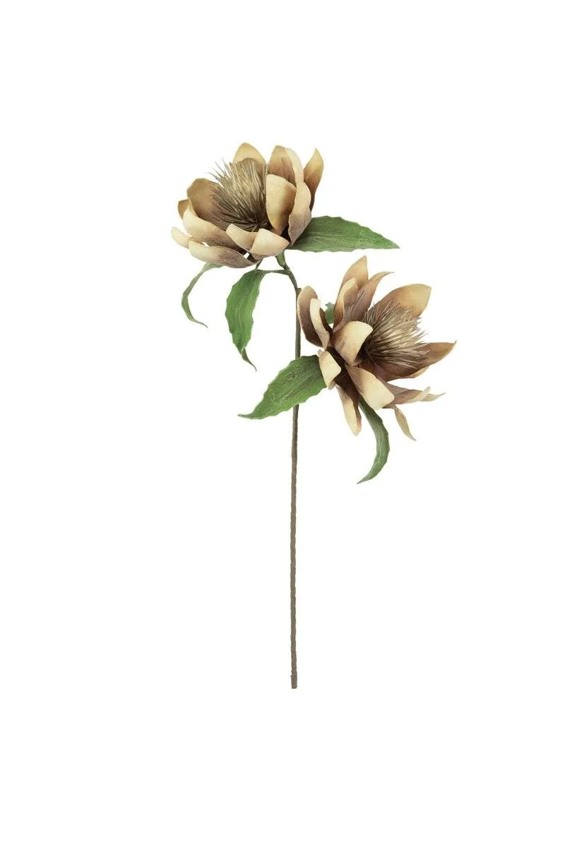 Botanica #3434 (Pack of 6)