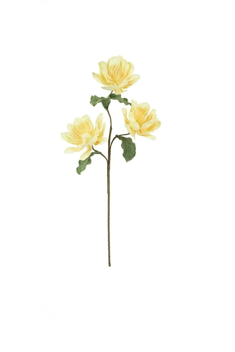 Botanica #3440 (Pack of 6)