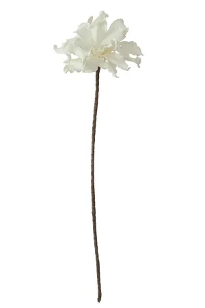 Botanica #504 (Pack of 6)