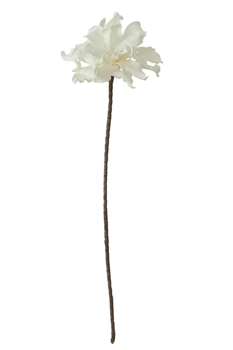 Botanica #504 (Pack of 6)