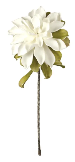 Botanica #533 (Pack of 6)