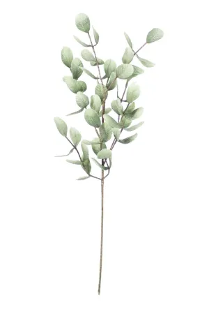 Botanica #875 (Pack of 6)