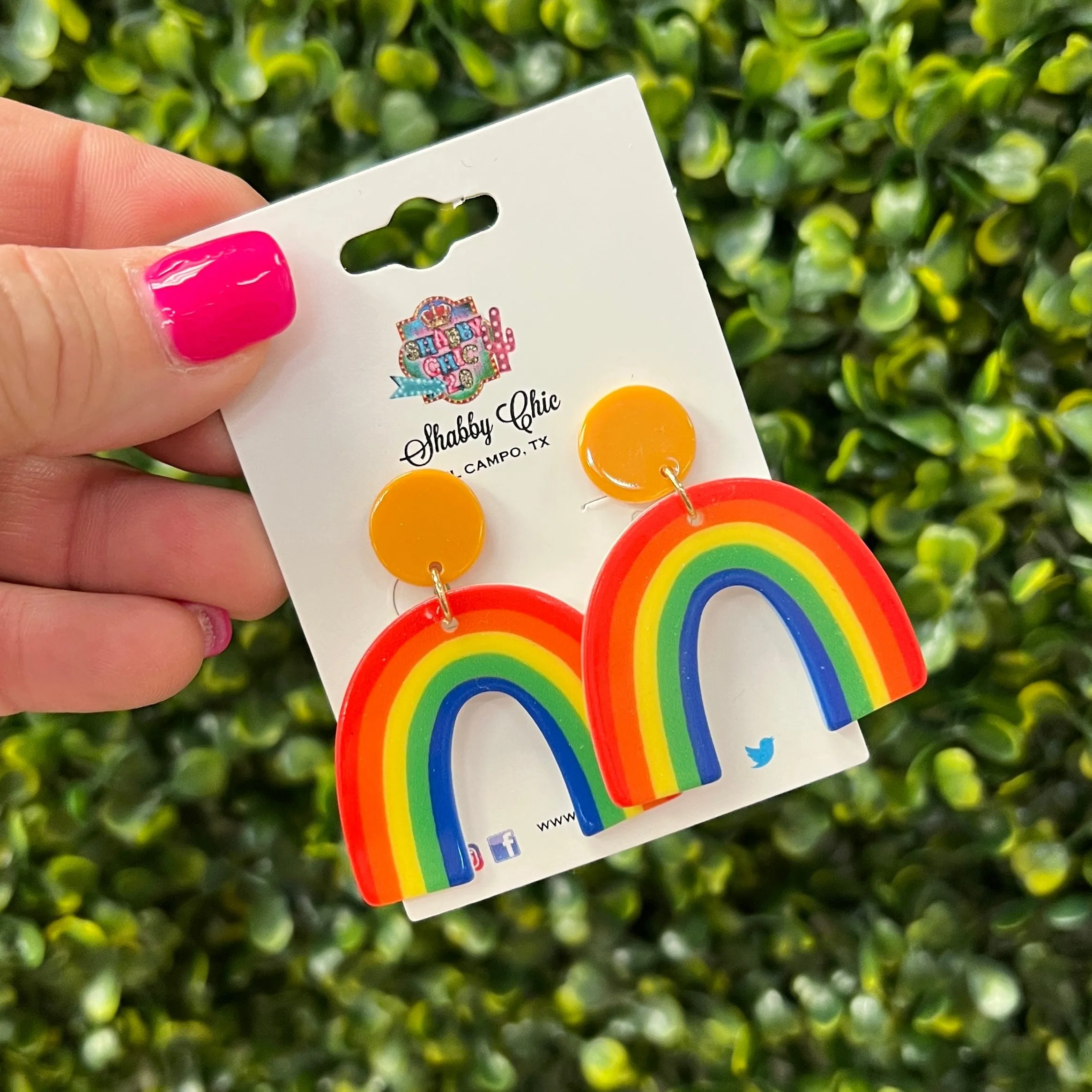 Bright Rainbow Earrings