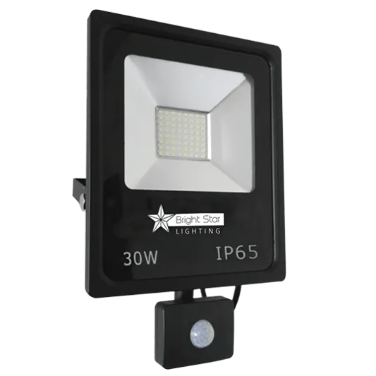 Bright Star Flood Light FL033