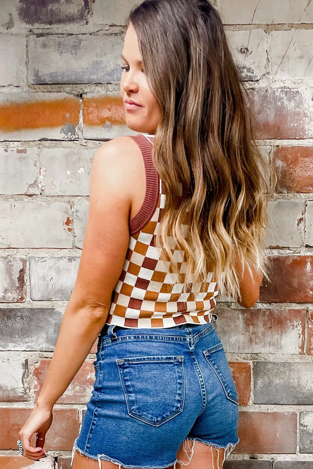 Brown Ribbed Trim Checkered Knit Sweater Vest