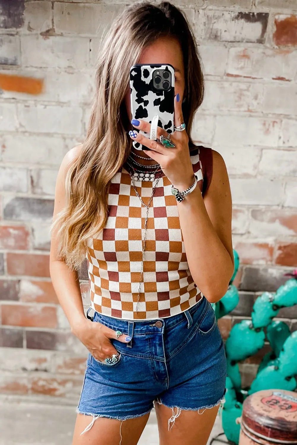 Brown Ribbed Trim Checkered Knit Sweater Vest