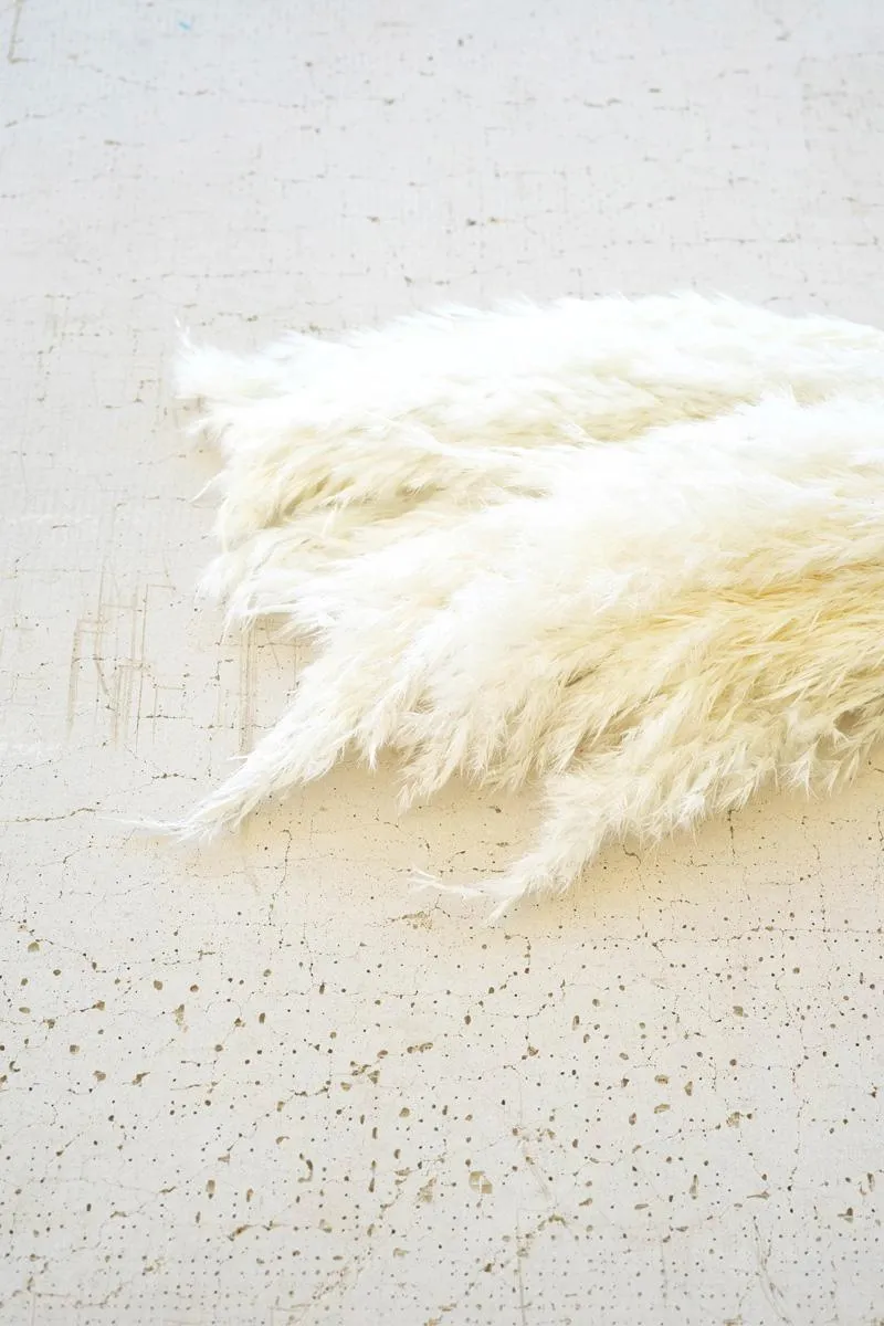 Bundle of 12 White Pampas Grass (Pack of 12)