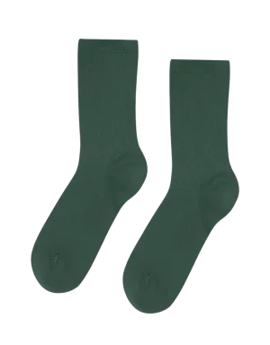 Calcetín Colorful Standard Clásico Orgánico Mujer Emerald Green