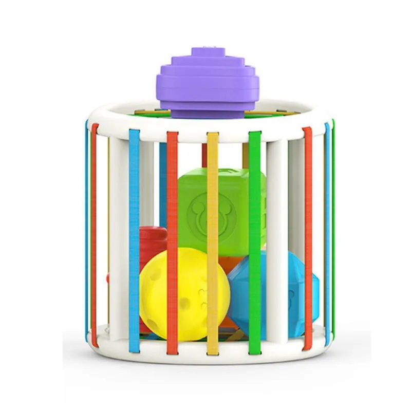 Colorful Montessori Learning Baby Toy