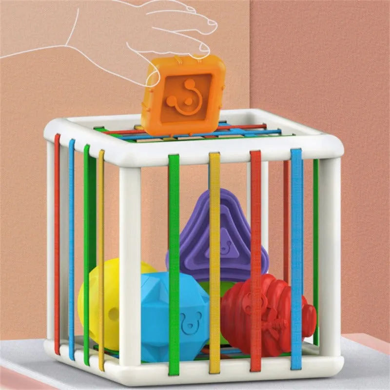 Colorful Montessori Learning Baby Toy