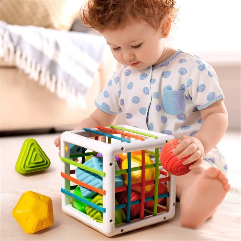 Colorful Montessori Learning Baby Toy