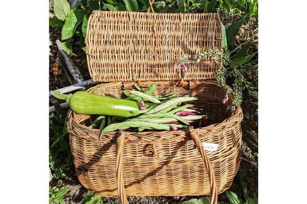 Dahlia Bike Basket Natural