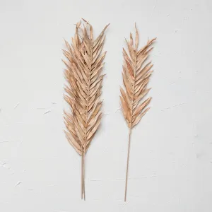 dried natural palm