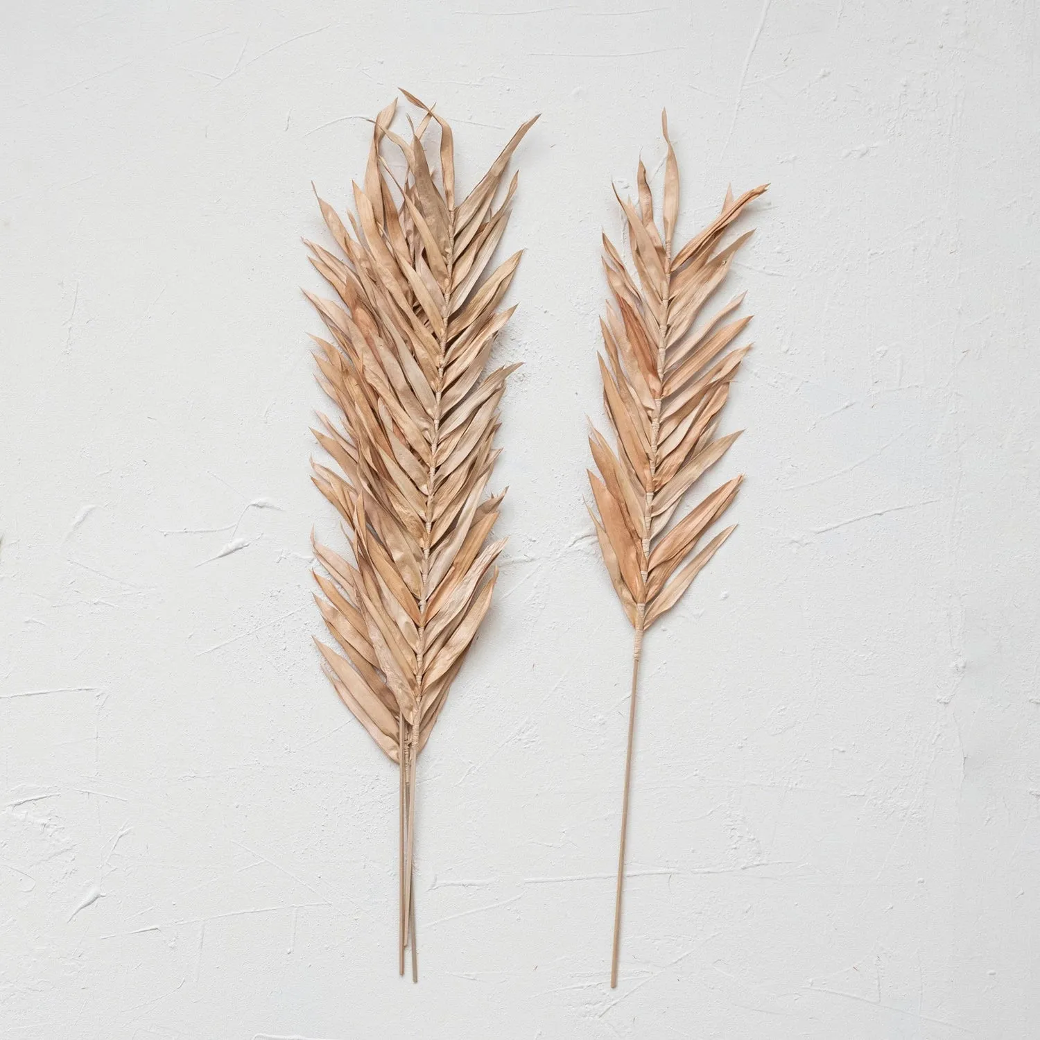 dried natural palm