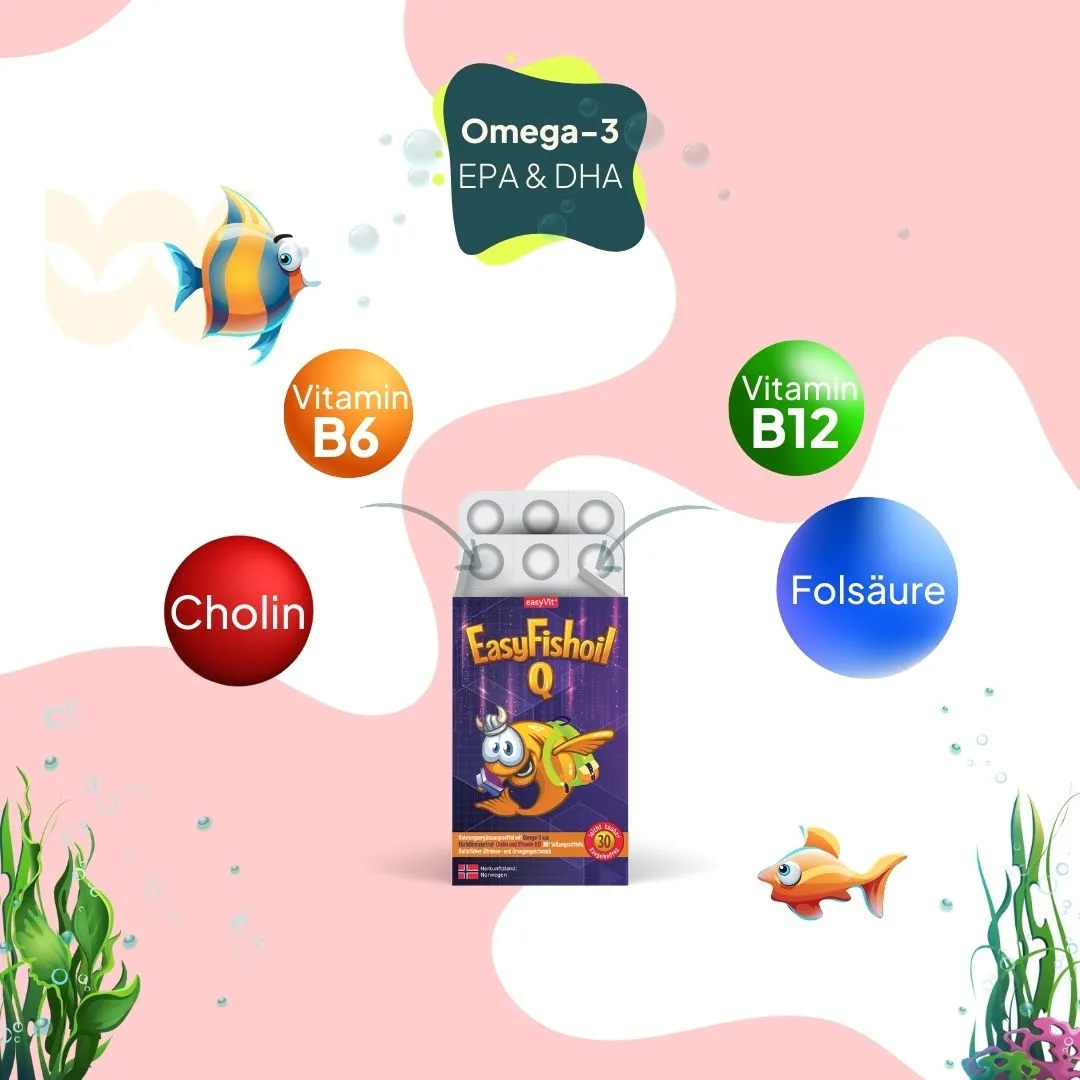 Easy-Family Paket