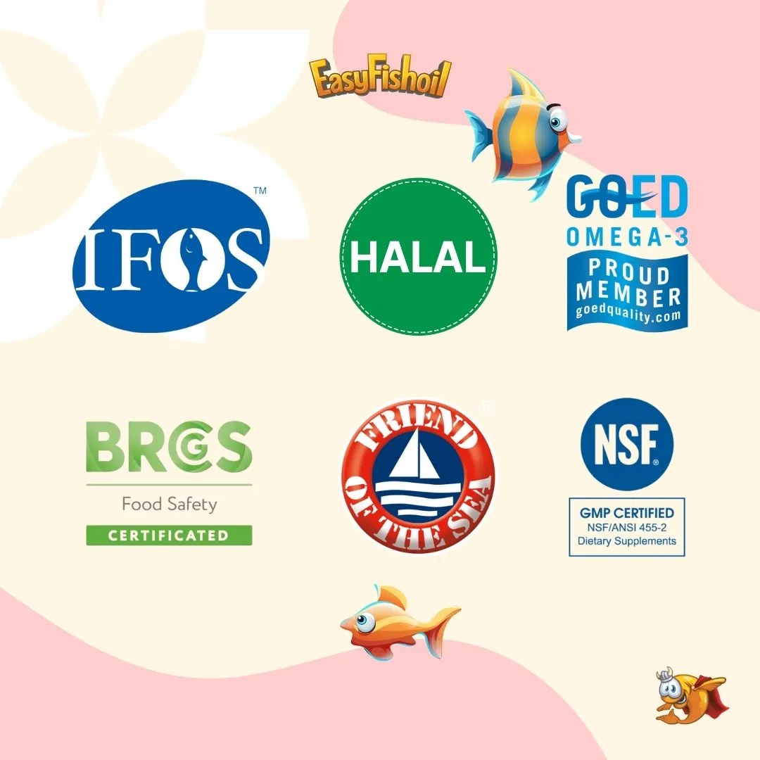 Easy-Family Paket