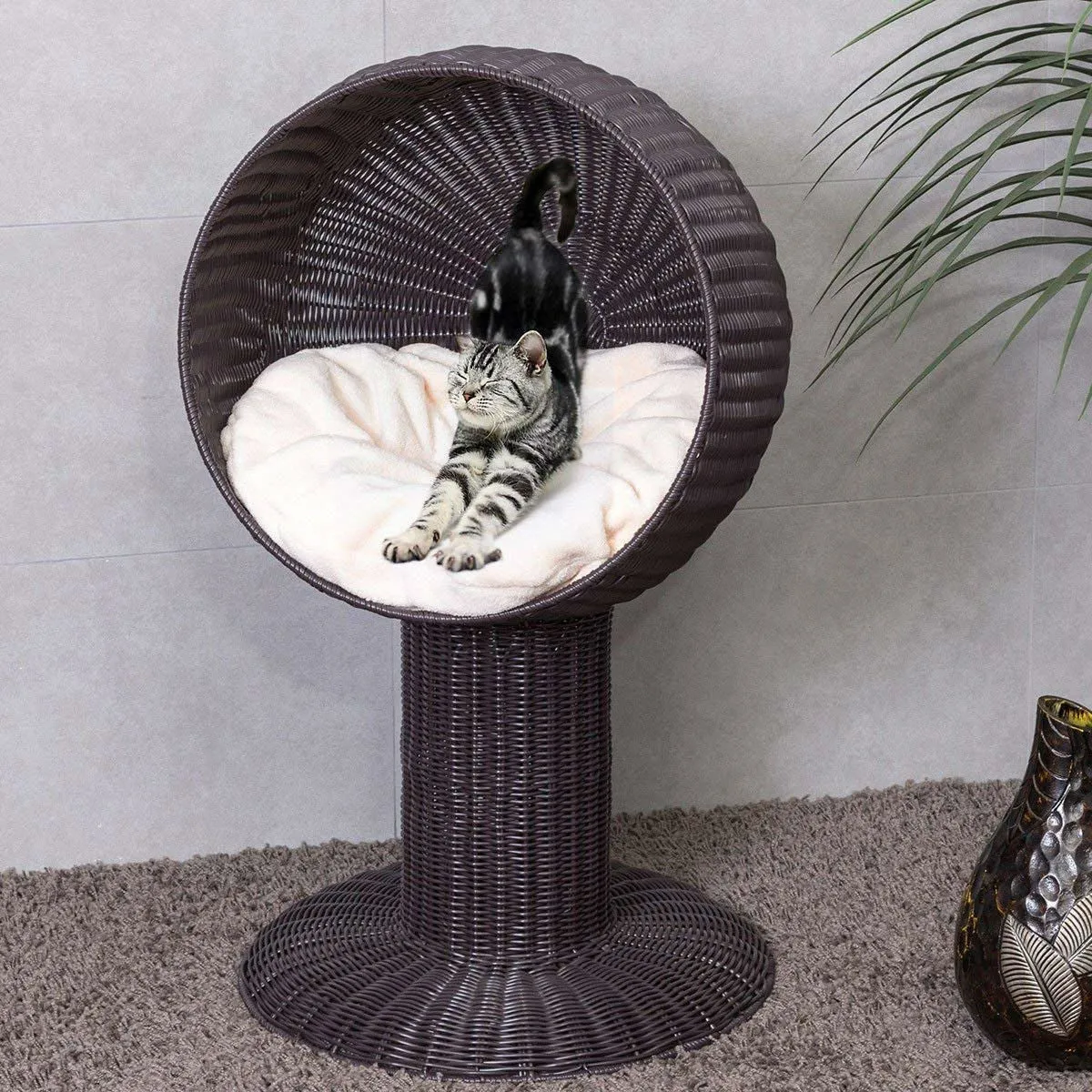 Elevated Wicker Rattan Cat Bed with Machine Washable Cushion