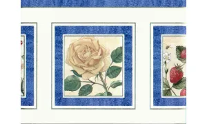 Floral DG2131B Wallpaper Border