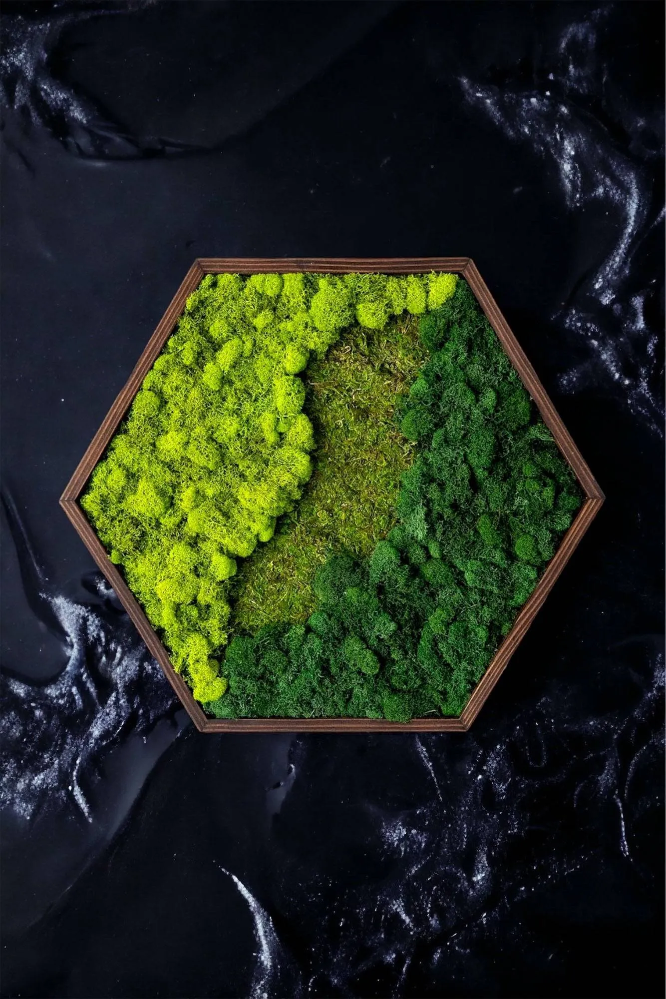 Framed Mixed Moss Hexagon Wall Art
