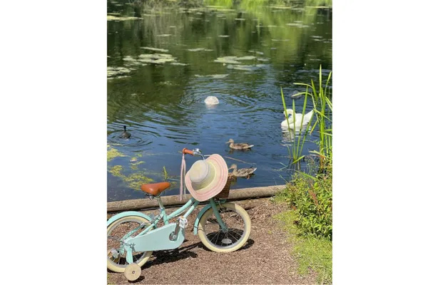 Gingersnap 12" Wheel