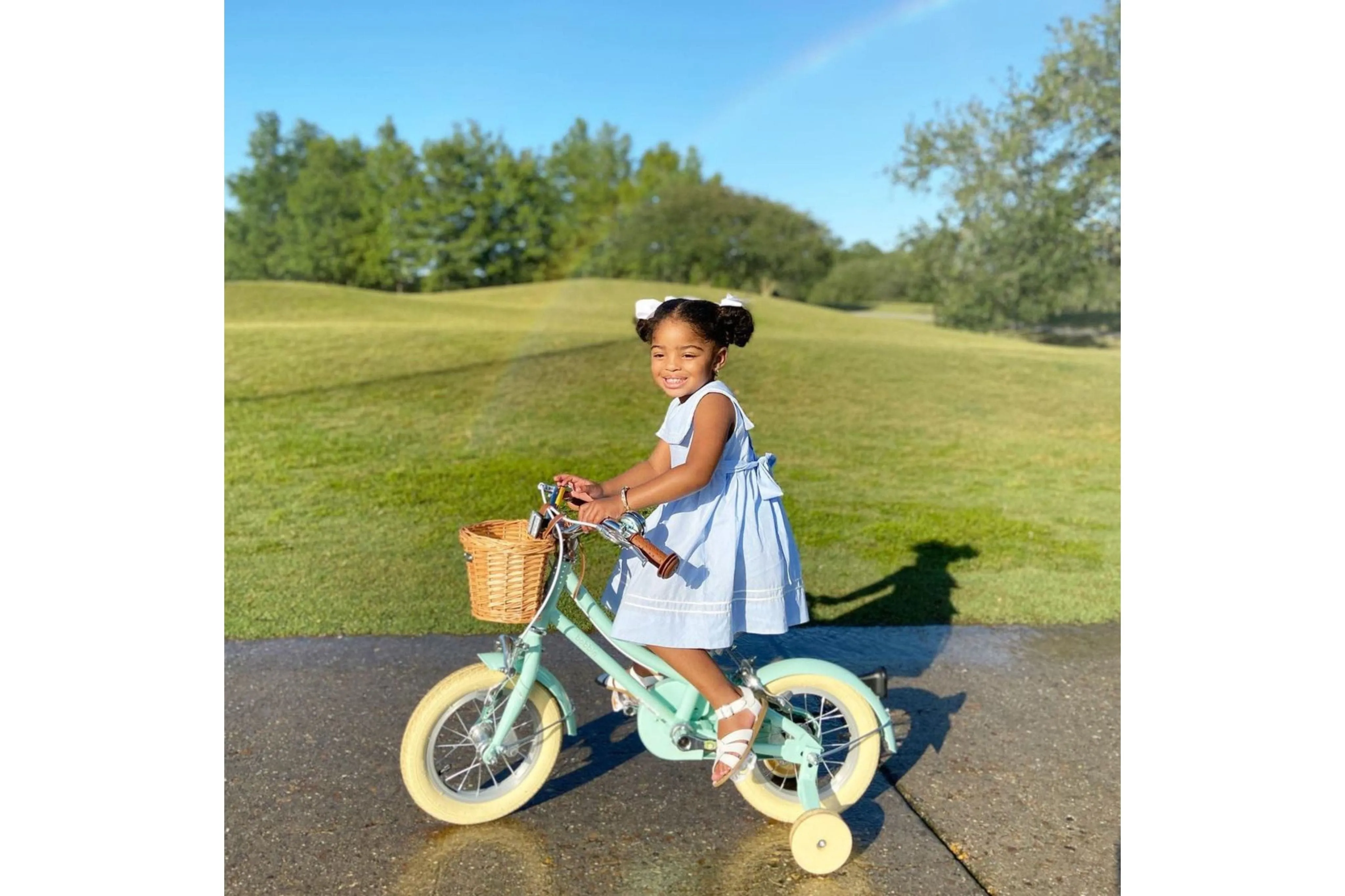 Gingersnap 12" Wheel