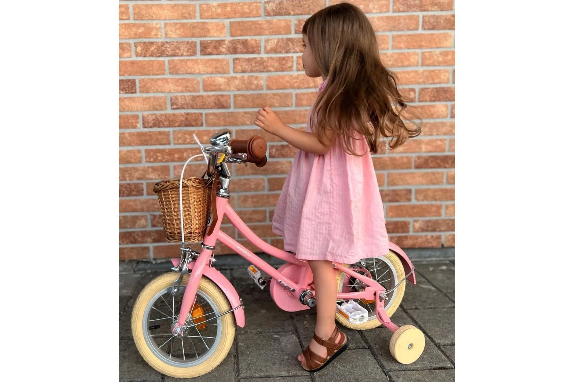 Gingersnap 12" Wheel