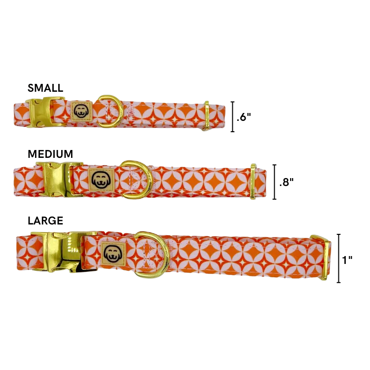 Glam Pup - Dog Collar - FINAL SALE