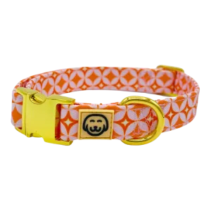 Glam Pup - Dog Collar - FINAL SALE